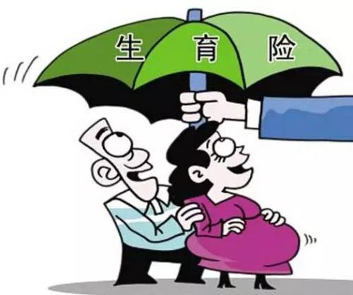 生育保險如何報銷？ 第1張