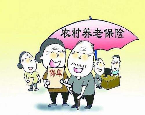 怎么查農村養老保險繳費？ 第1張