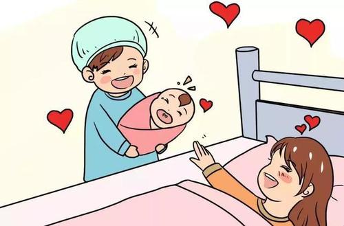 生育保險如何繳？怎么報？ 第1張